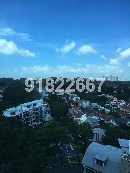 The Solitaire (D10), Condominium #114986822